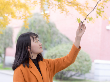 菲律宾移民局主要有哪些职能